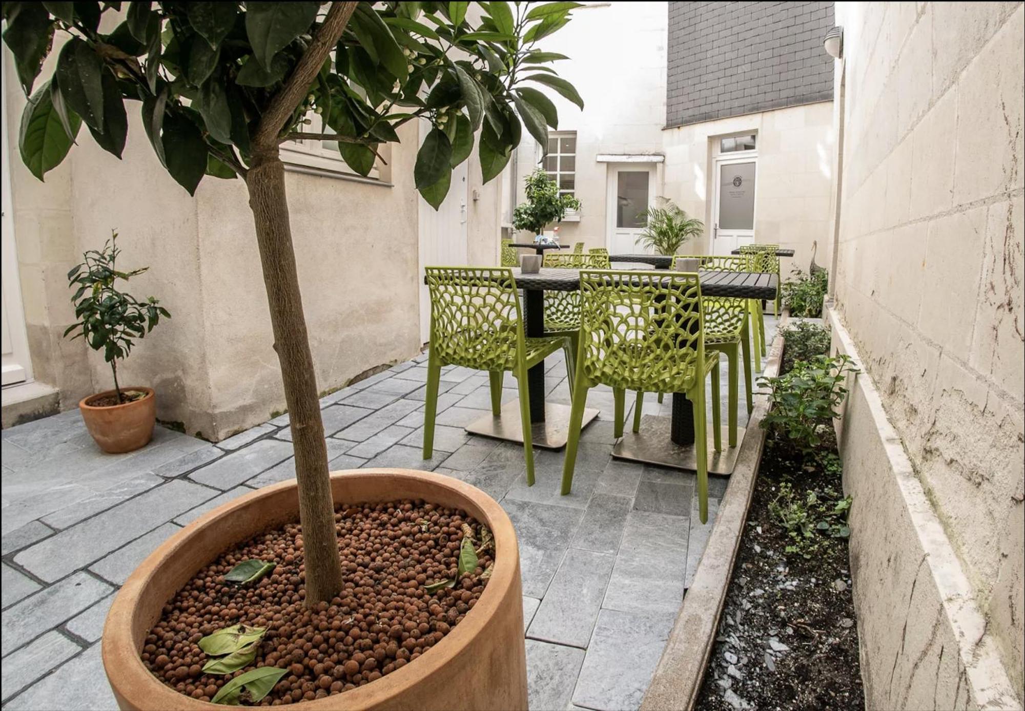 Les Lys D'Or Apartment Saumur Exterior photo